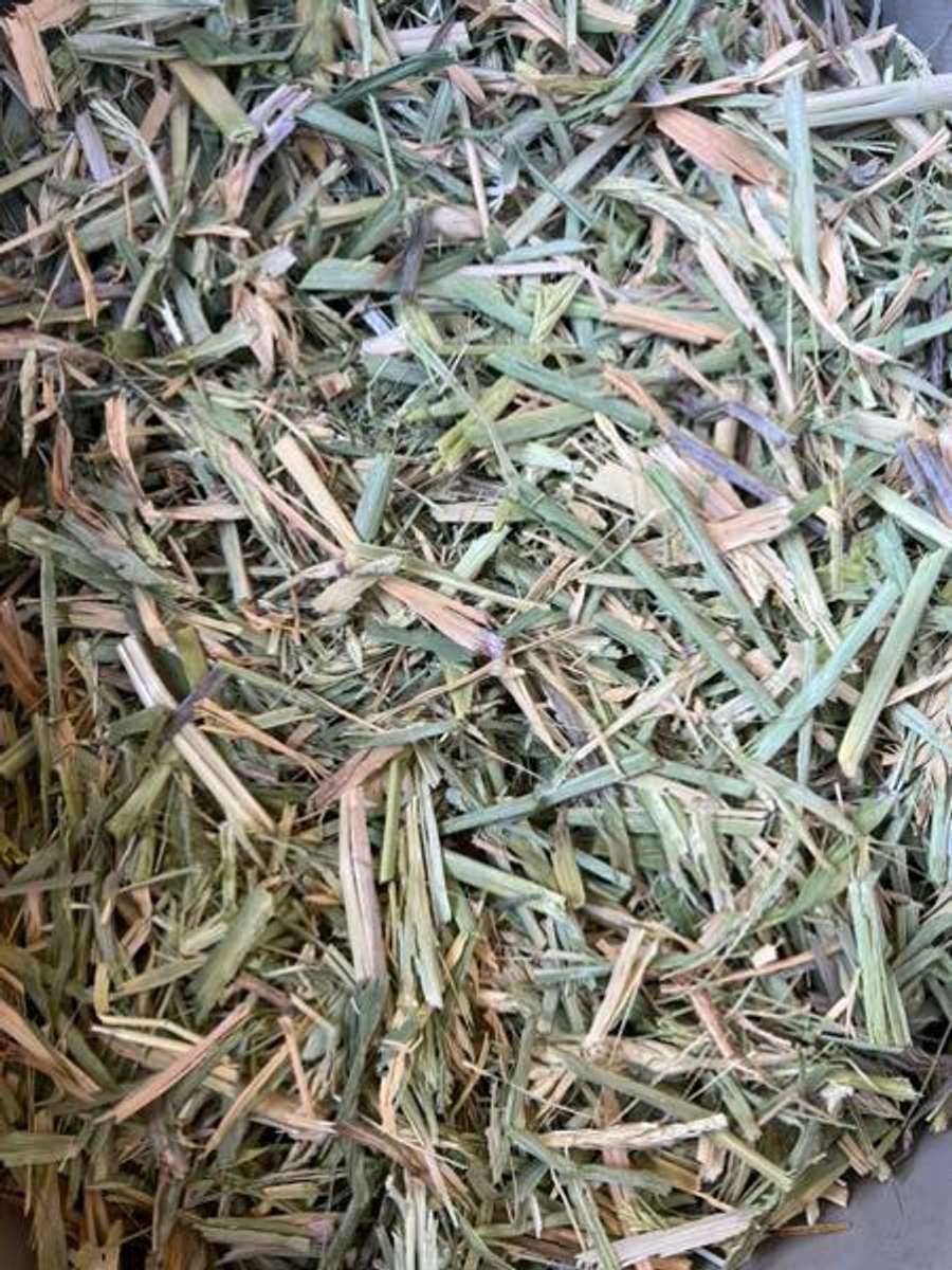 Batch 6634968000178188007 Image