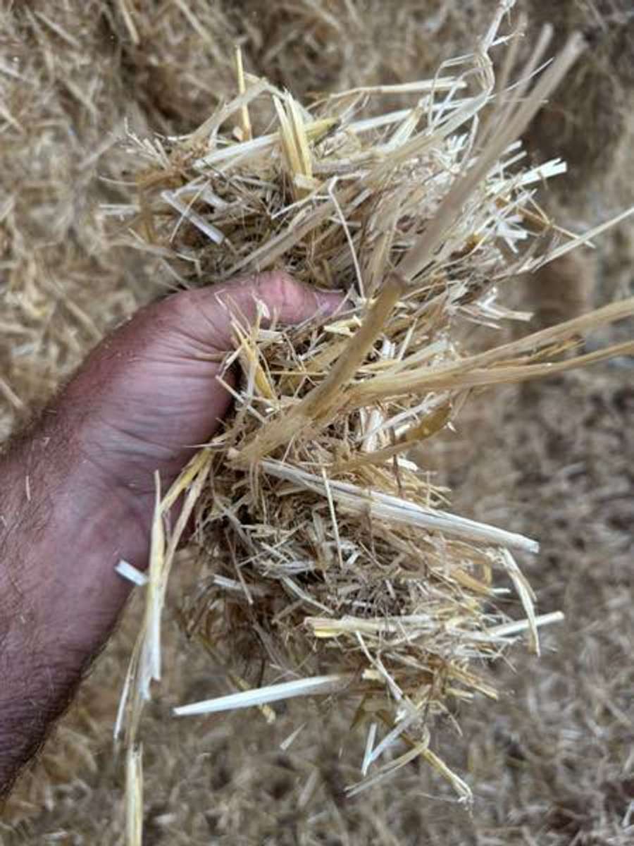 Batch 6634968000171788140 Image