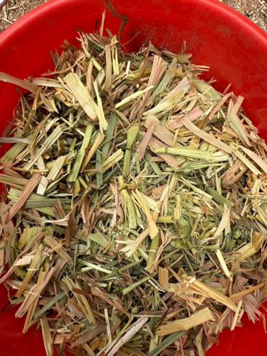 Batch 6634968000169475024 Image