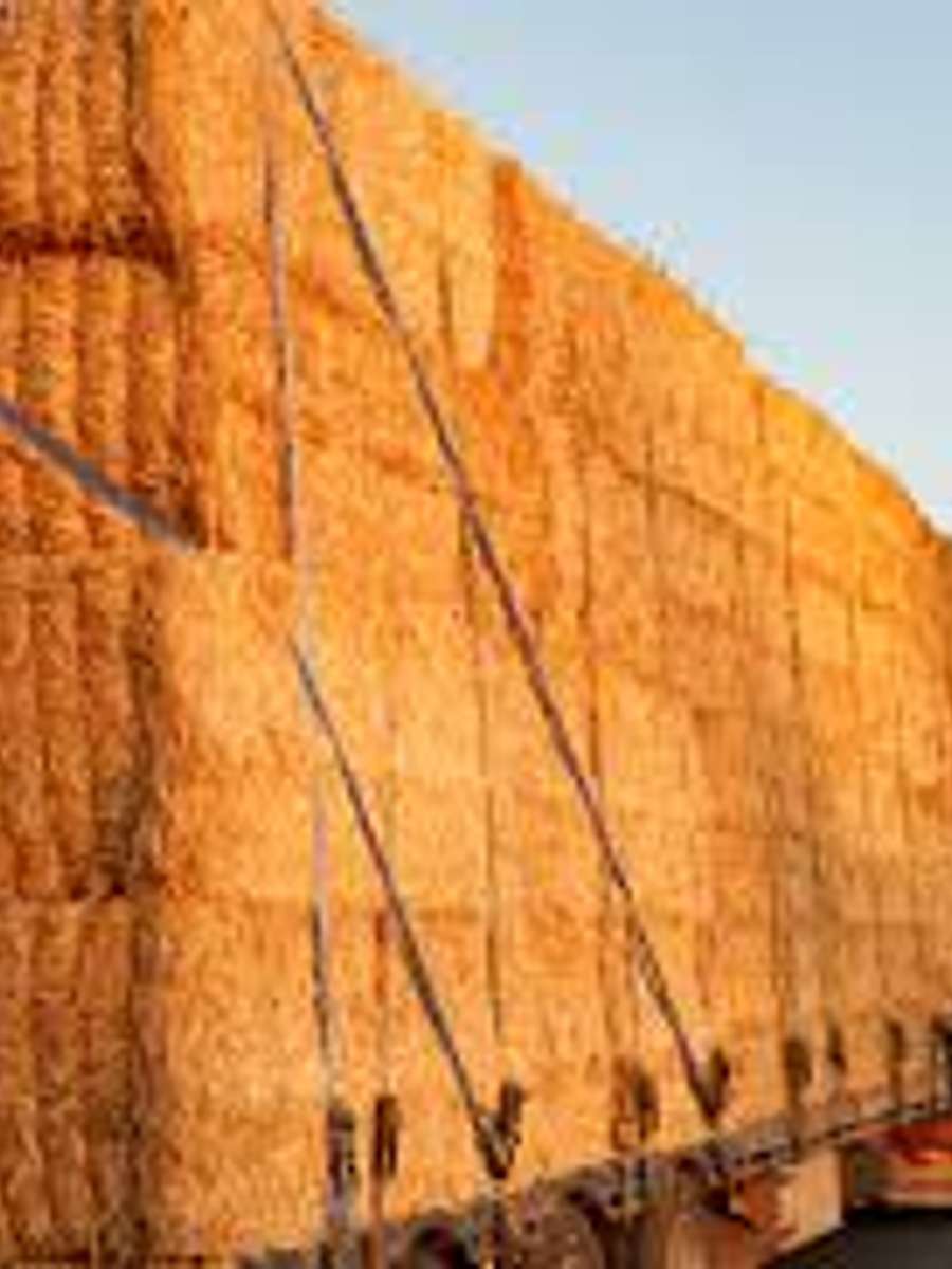 Batch 6634968000179001137 Image