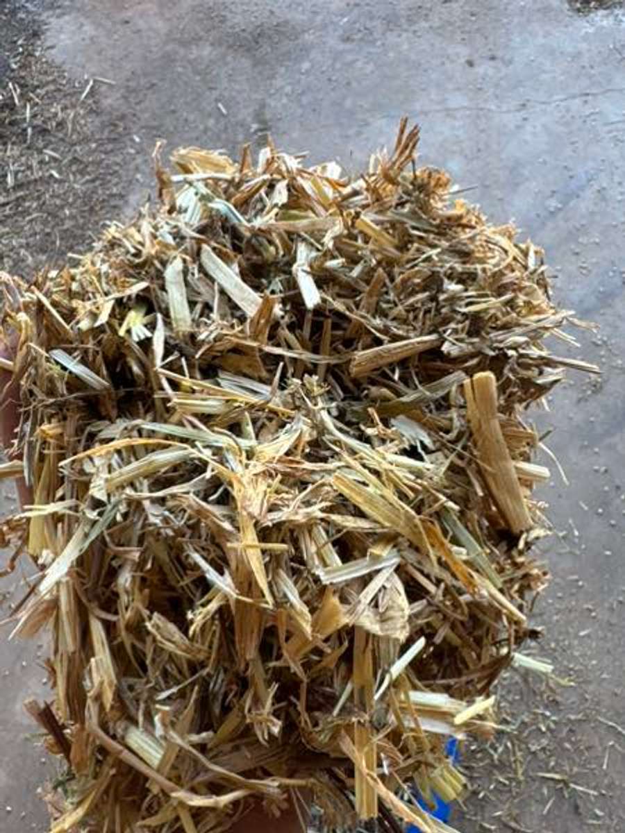 Batch 6634968000170679021 Image