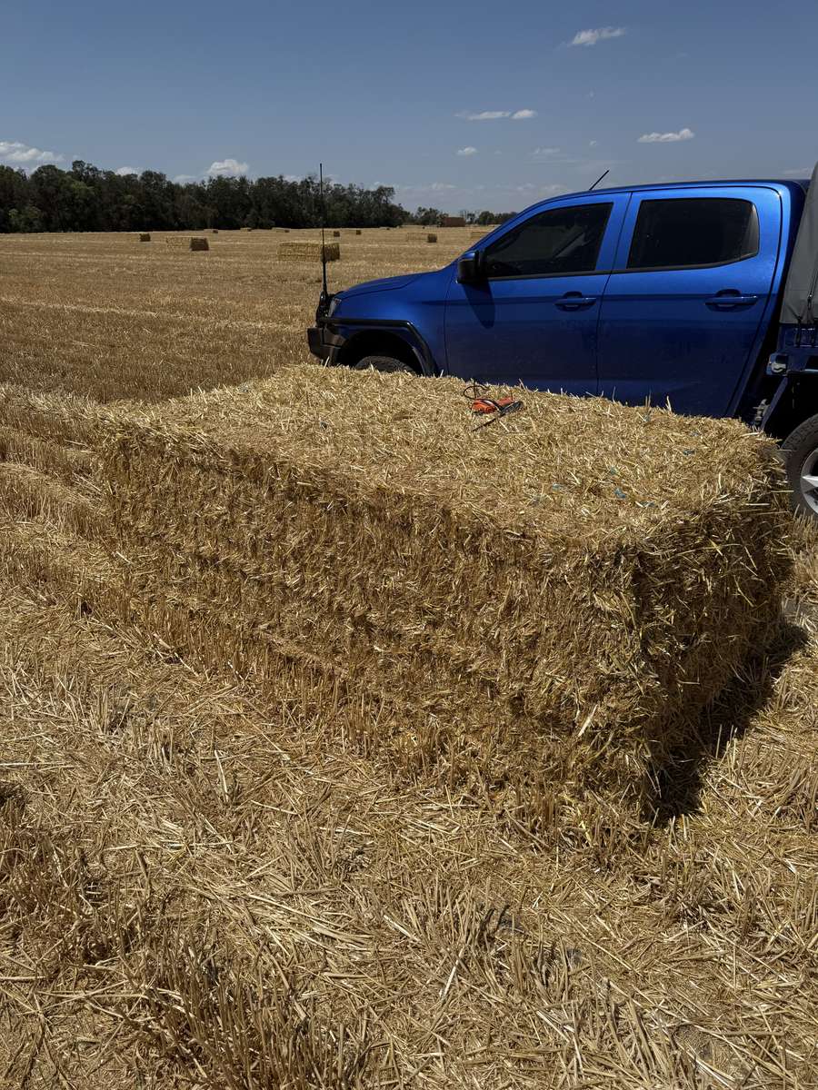 Batch 6634968000169843337 Image