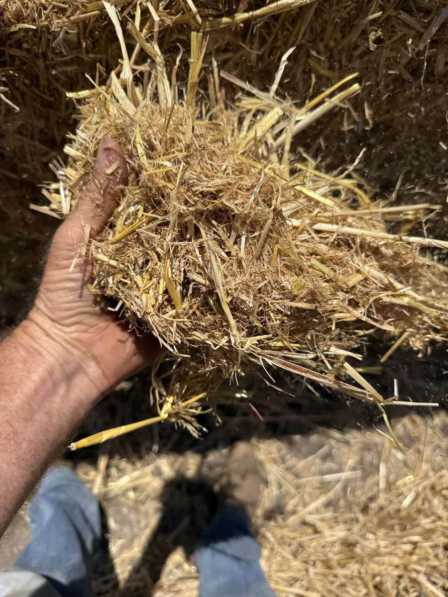 Batch 6634968000169843337 Image