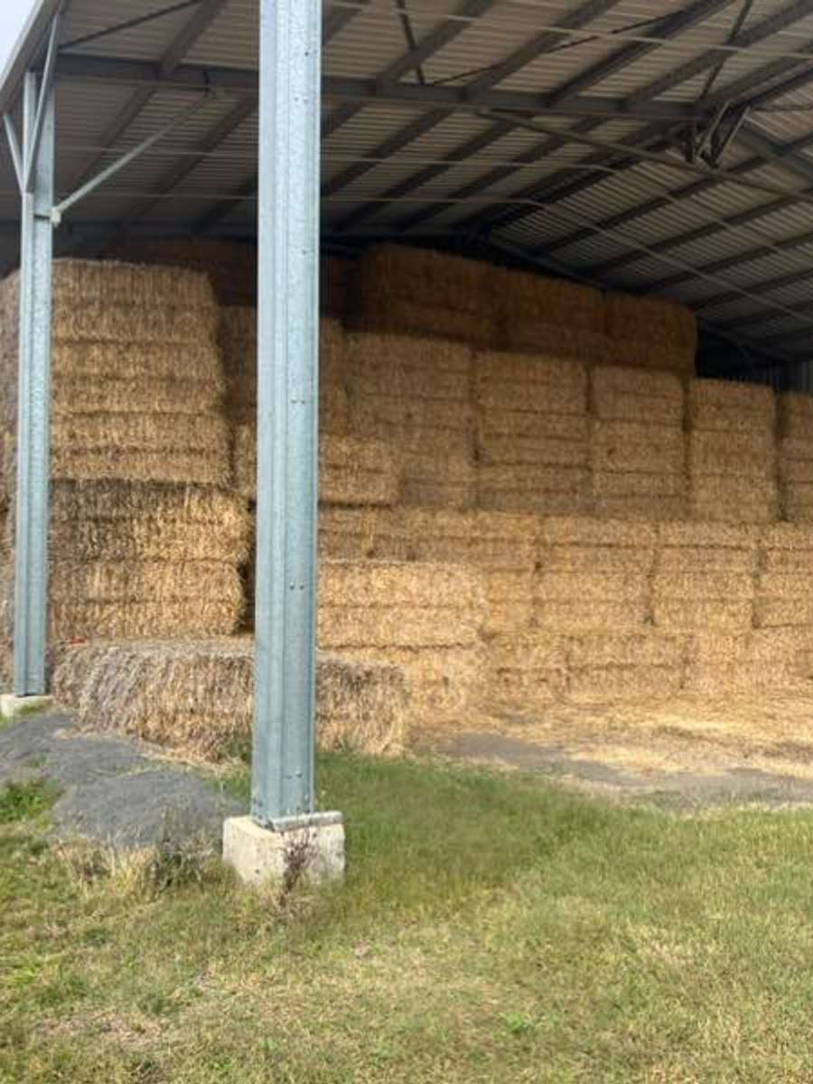 Batch 6634968000170360050 Image