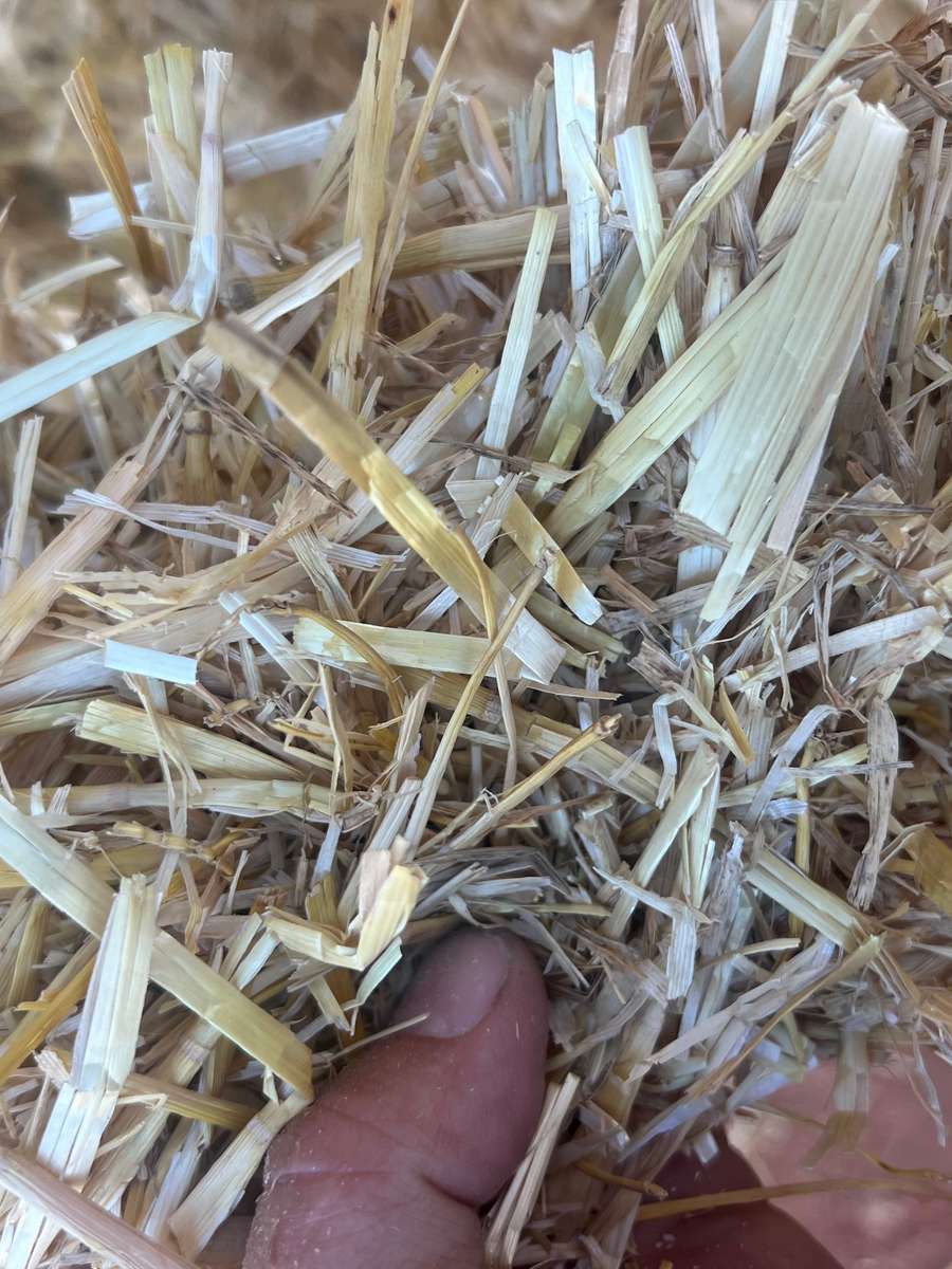 Batch 6634968000169844063 Image