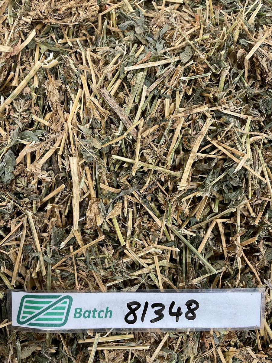 Batch 6634968000180317048 Image