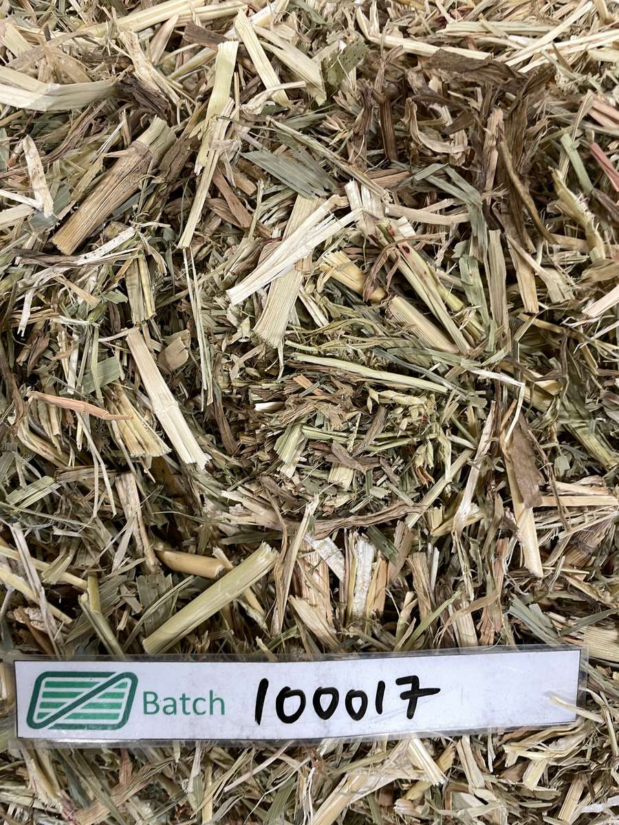 Batch 6634968000171788140 Image